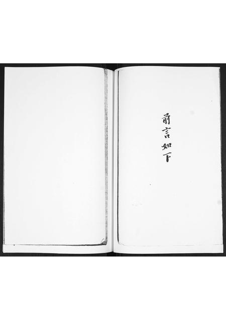 山东谢氏-谢氏族谱.pdf电子版插图1