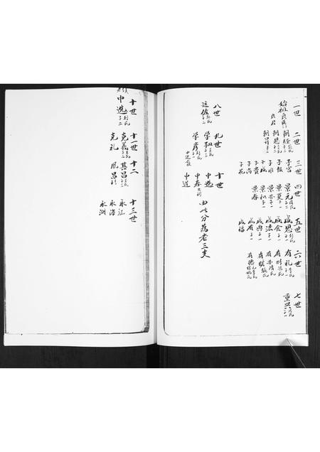 山东谢氏-谢氏族谱.pdf电子版插图4