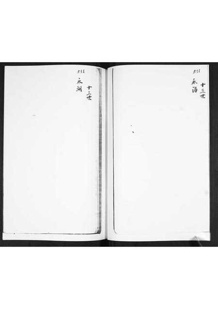 山东谢氏-谢氏族谱.pdf电子版插图5