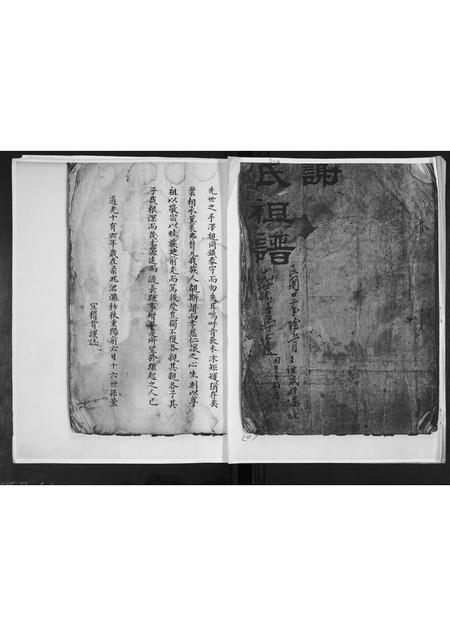 山东谢氏-谢氏族谱.pdf电子版