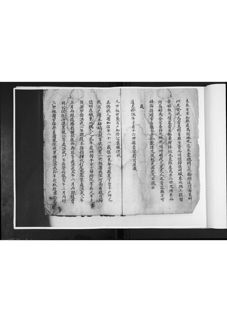 山东谢氏-谢氏族谱.pdf电子版插图4