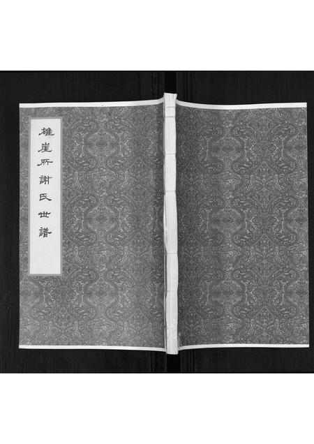 山东谢氏-雄崖所谢氏世谱.pdf电子版