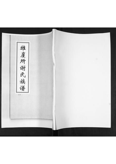 山东谢氏-雄崖所谢氏族谱.pdf电子版