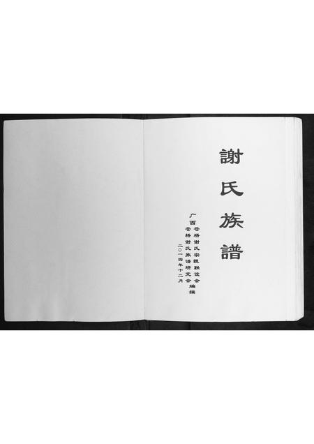 广西谢氏-谢氏族谱.pdf电子版插图1 广西谢氏-谢氏族谱.pdf电子版插图1