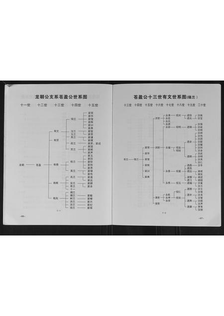 广西谢氏-谢氏族谱.pdf电子版插图4 广西谢氏-谢氏族谱.pdf电子版插图4