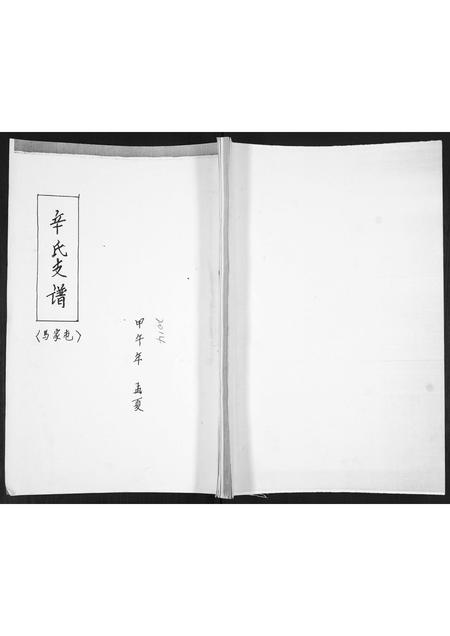 山东辛氏-辛氏支谱.pdf电子版