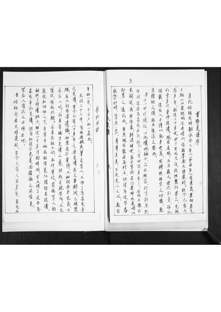 山东辛氏-辛氏支谱.pdf电子版插图3