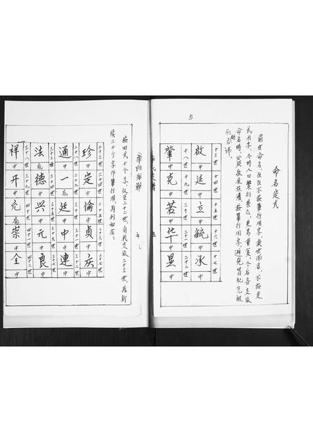 山东辛氏-辛氏支谱.pdf电子版插图5