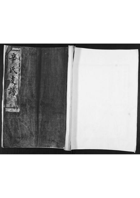 山东辛氏-辛氏支谱.pdf电子版