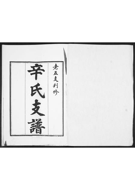 山东辛氏-辛氏支谱.pdf电子版插图1