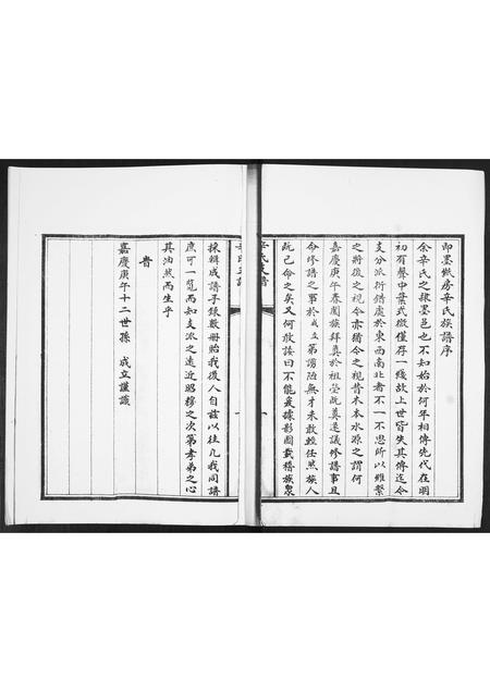 山东辛氏-辛氏支谱.pdf电子版插图2