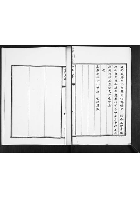 山东辛氏-辛氏支谱.pdf电子版插图4