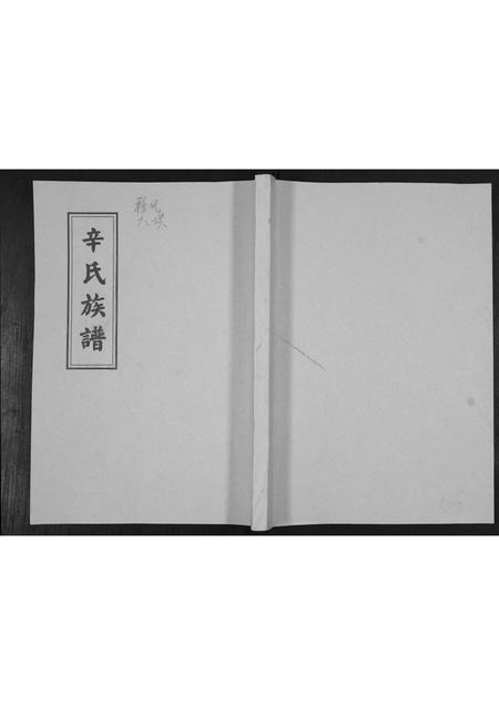 山东辛氏-辛氏族谱.pdf电子版