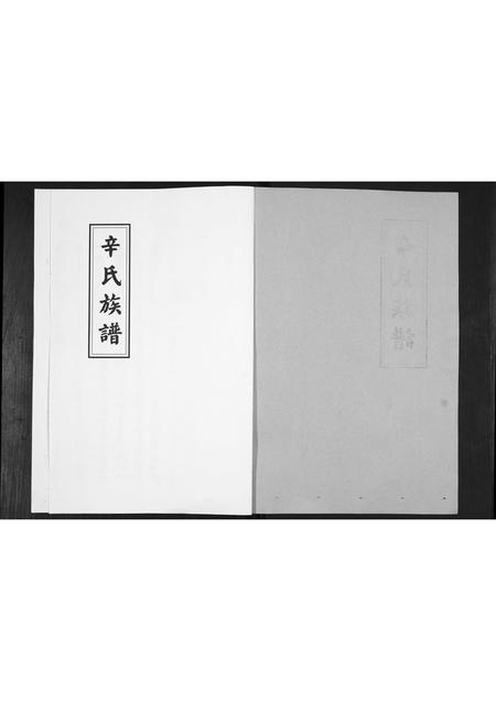 山东辛氏-辛氏族谱.pdf电子版插图1