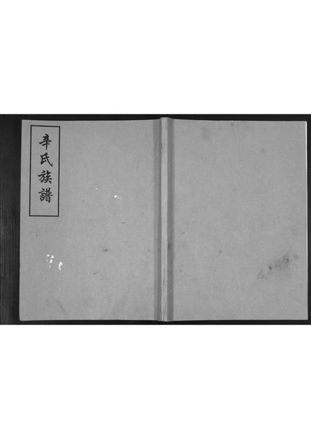 山东辛氏-辛氏族谱.pdf电子版