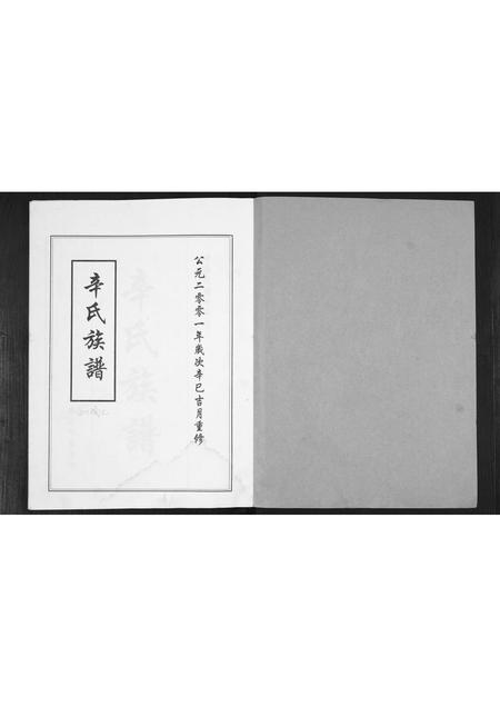 山东辛氏-辛氏族谱.pdf电子版预览图1