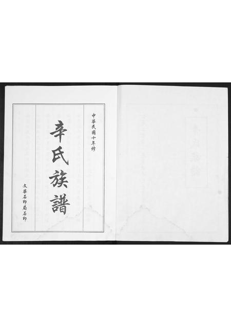 山东辛氏-辛氏族谱.pdf电子版预览图2