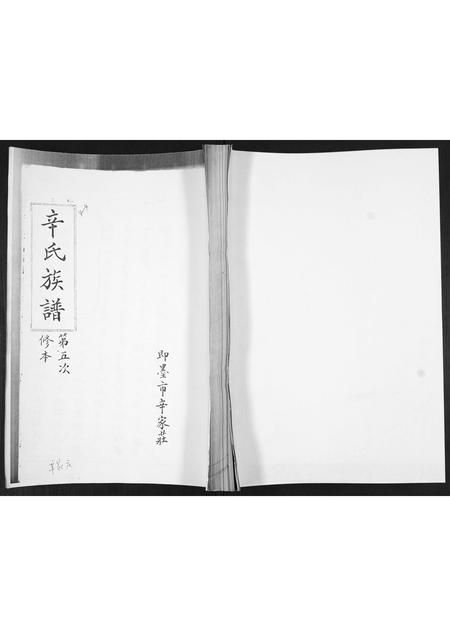 山东辛氏-辛氏族谱.pdf电子版