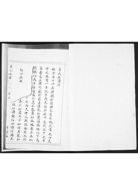 山东辛氏-辛氏族谱.pdf电子版插图1