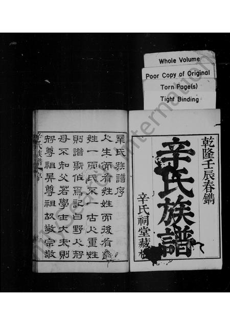 山东辛氏-辛氏族谱 [6卷].pdf电子版插图1