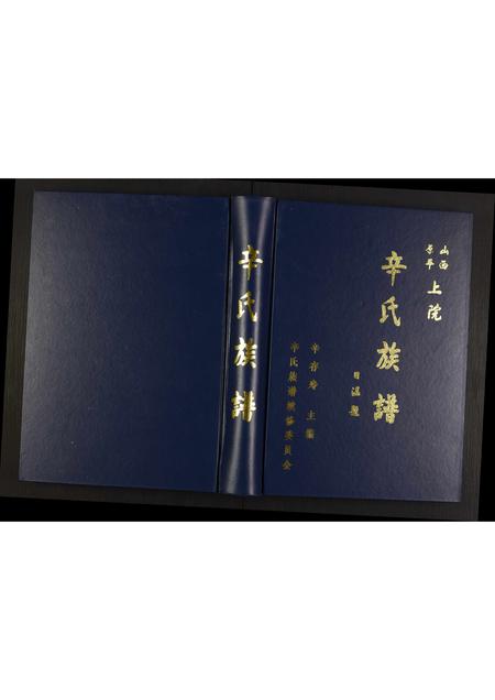 山西辛氏-辛氏族谱.pdf电子版插图