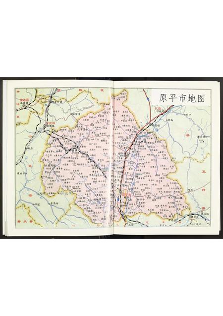 山西辛氏-辛氏族谱.pdf电子版插图5