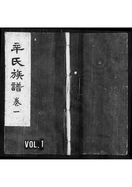 山西辛氏-辛氏族谱 [4卷].pdf电子版插图