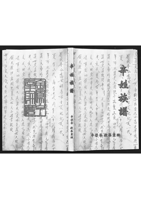 甘肃辛氏-辛姓族谱[不分卷].pdf电子版插图