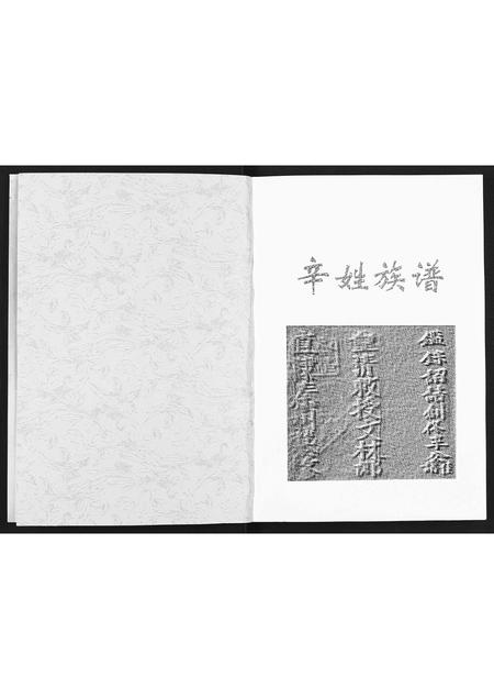 甘肃辛氏-辛姓族谱[不分卷].pdf电子版插图2