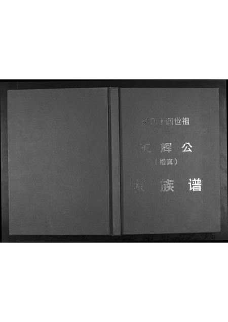 广西熊氏-熊氏十四世祖玉辉公家族谱.pdf电子版插图