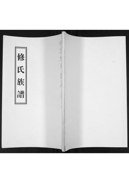 山东修氏-修氏族谱[不分卷].pdf电子版