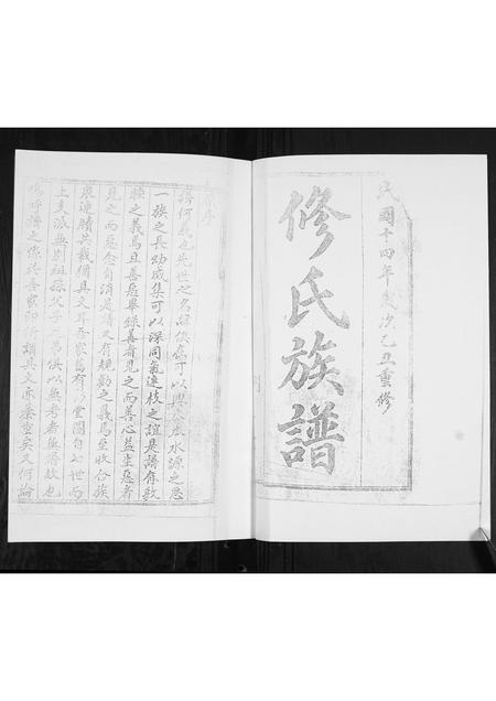 山东修氏-修氏族谱[不分卷].pdf电子版插图1