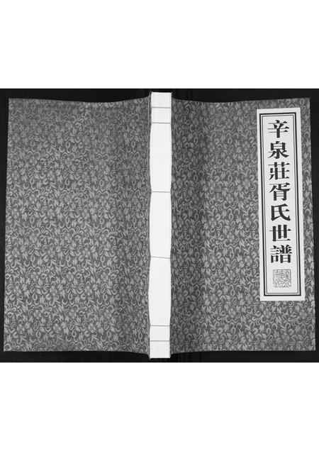 山东胥氏-胥氏世谱.pdf电子版插图 山东胥氏-胥氏世谱.pdf电子版插图