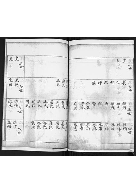 山东徐氏-徐氏支谱[不分卷].pdf电子版插图2