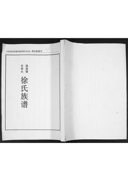 山东徐氏-徐氏族谱.pdf电子版