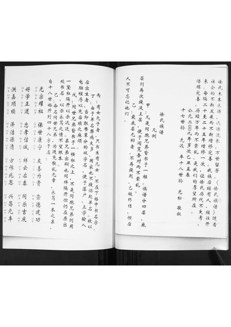山东徐氏-徐氏族谱.pdf电子版插图4 山东徐氏-徐氏族谱.pdf电子版插图4