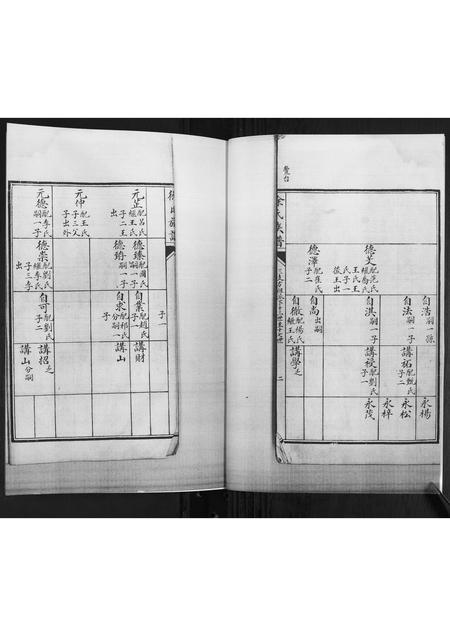 山东徐氏-徐氏族谱[2卷].pdf电子版插图2