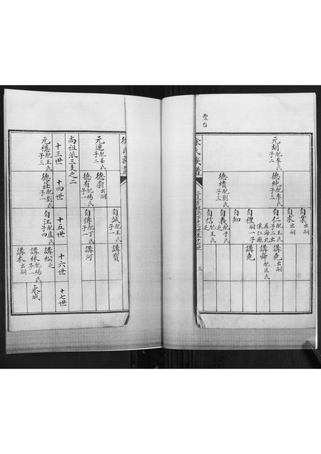 山东徐氏-徐氏族谱[2卷].pdf电子版插图3