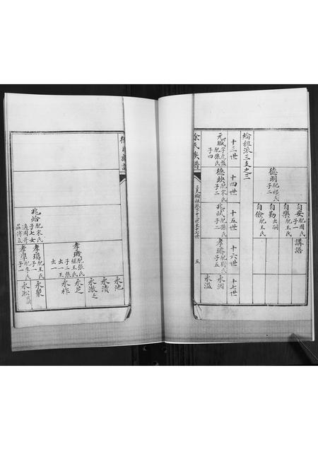 山东徐氏-徐氏族谱[2卷].pdf电子版插图5