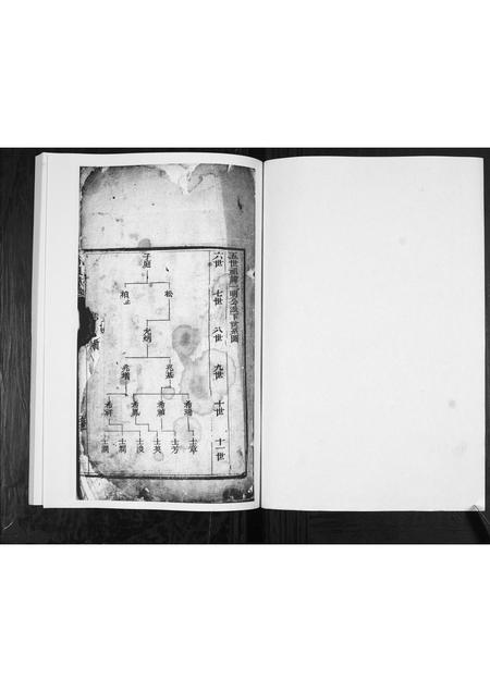 山东徐氏-徐氏族谱[2卷].pdf电子版插图1