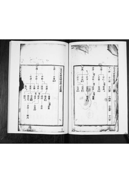 山东徐氏-徐氏族谱[2卷].pdf电子版插图2