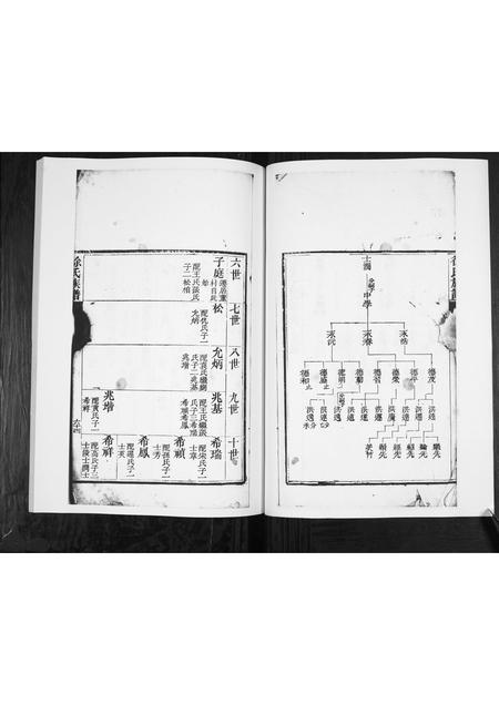 山东徐氏-徐氏族谱[2卷].pdf电子版插图3