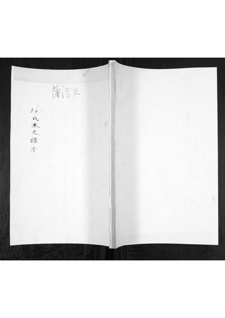 山东徐氏-徐氏东支谱书.pdf电子版插图 山东徐氏-徐氏东支谱书.pdf电子版插图