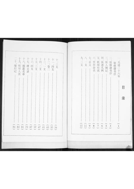 山东徐氏-徐氏东支谱书.pdf电子版插图4 山东徐氏-徐氏东支谱书.pdf电子版插图4