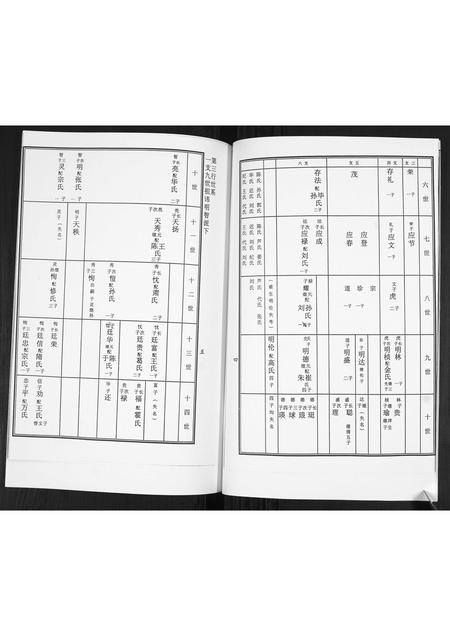 山东徐氏-徐氏东支谱书.pdf电子版插图4