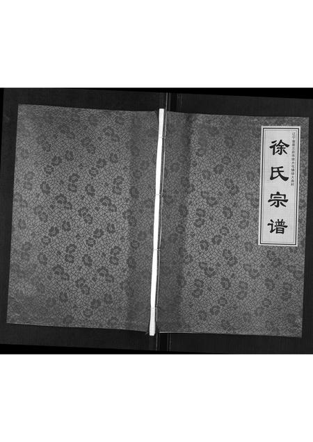 辽宁徐氏-徐氏宗谱[不分卷].pdf电子版插图