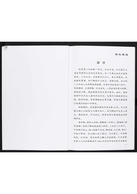 山西薛氏-薛氏家谱[不分卷].pdf电子版插图4