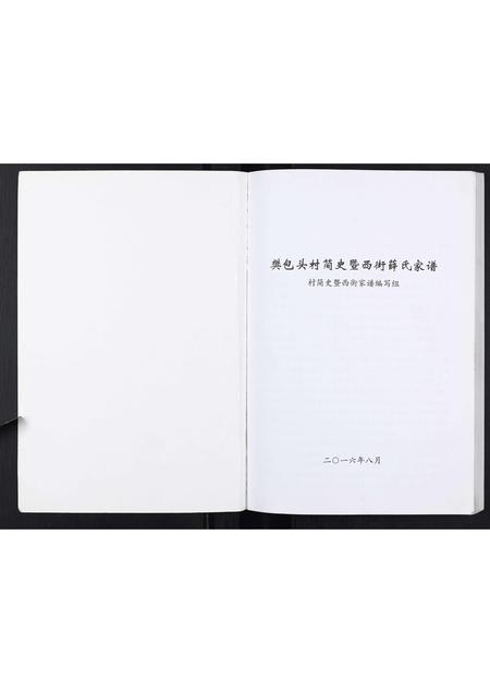 山西薛氏-薛氏家谱[不分卷].pdf电子版插图1