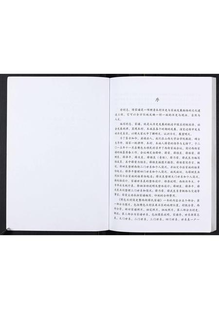 山西薛氏-薛氏家谱[不分卷].pdf电子版插图2