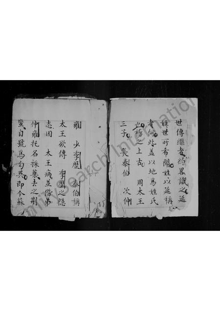 山西延氏-延氏家谱.pdf电子版插图4